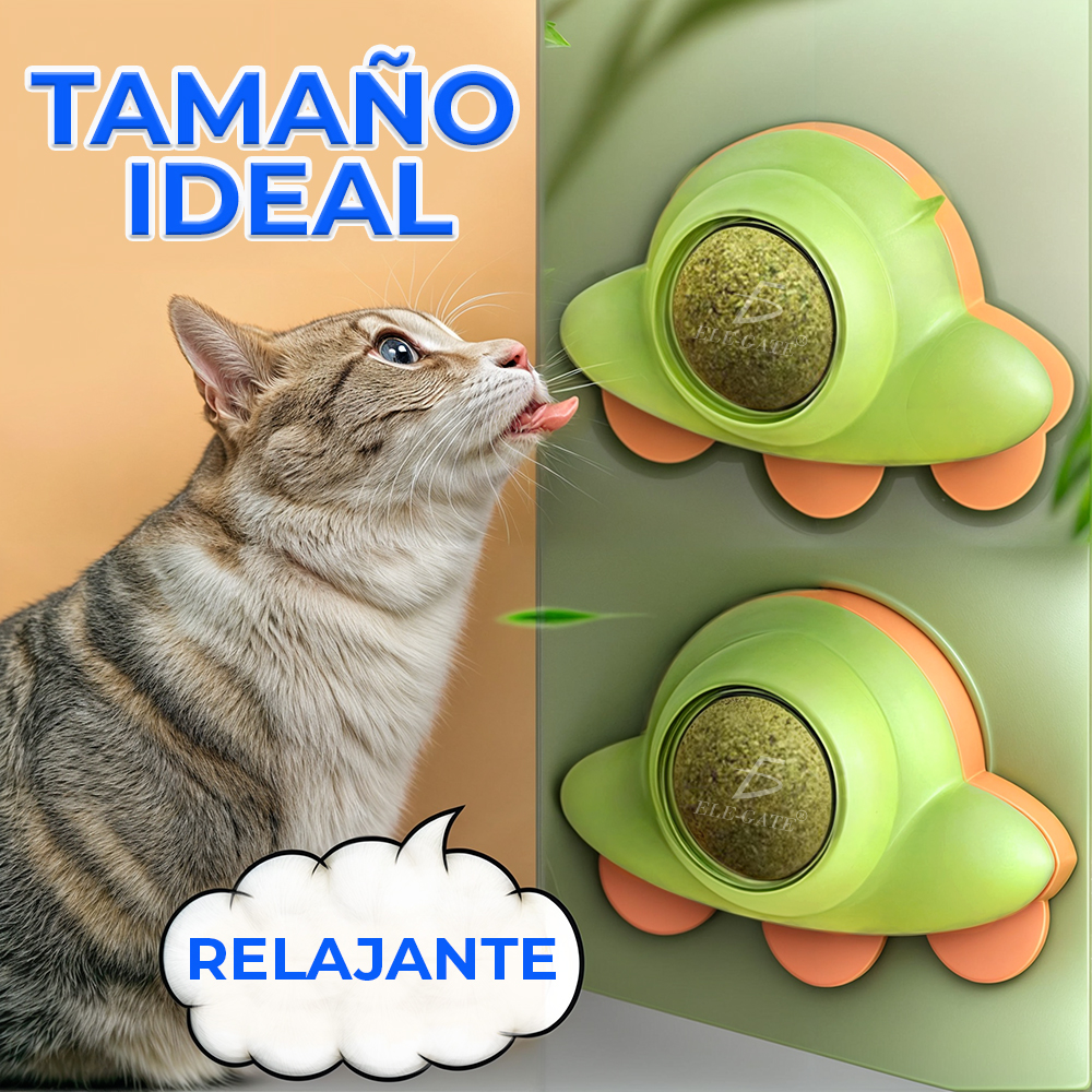 KIT de Pelota Interactiva para Gato: Diversión en Movimiento - Image 2