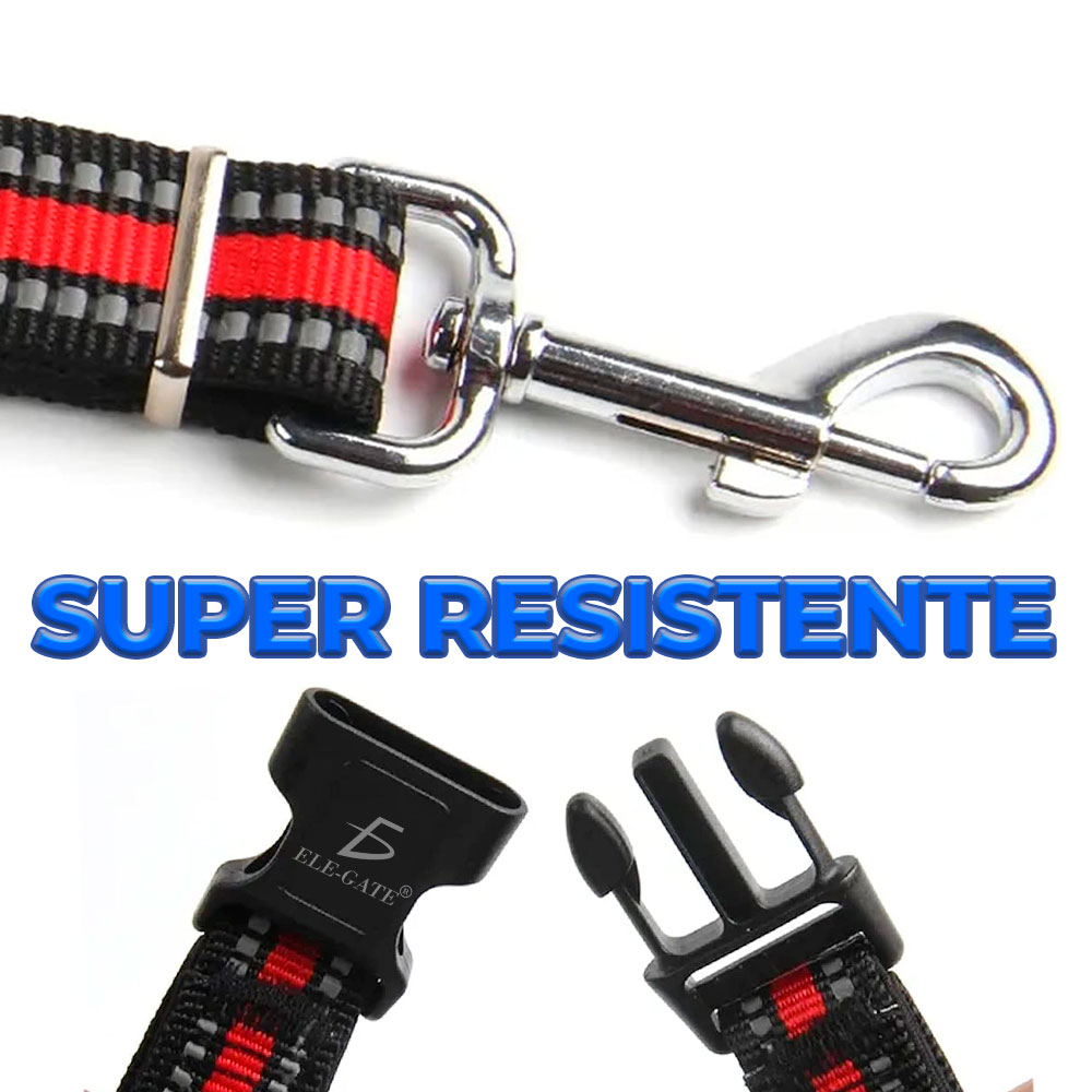 Arnés Ajustable de Nailon Doble con Correa para Perros Pequeños - Image 3