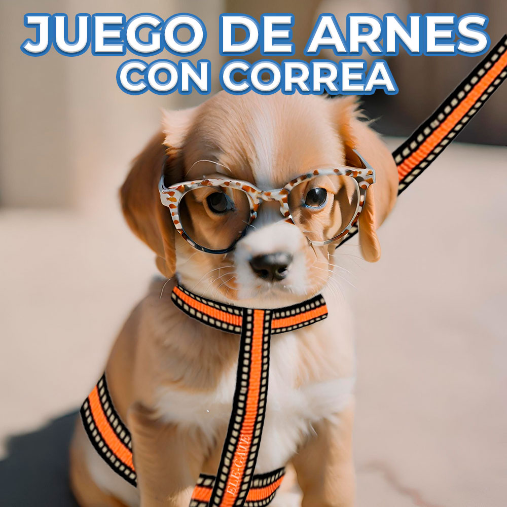 Arnés Ajustable de Nailon Doble con Correa para Perros Pequeños