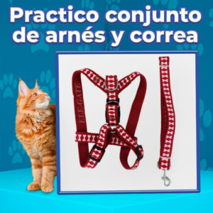 Arnés de Malla Suave con Correa para Mascotas Pequeñas (Juego de 2)