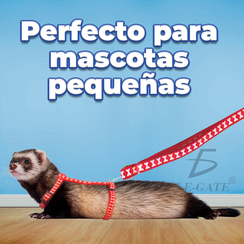 Arnés de Malla Suave con Correa para Mascotas Pequeñas (Juego de 2) - Image 2