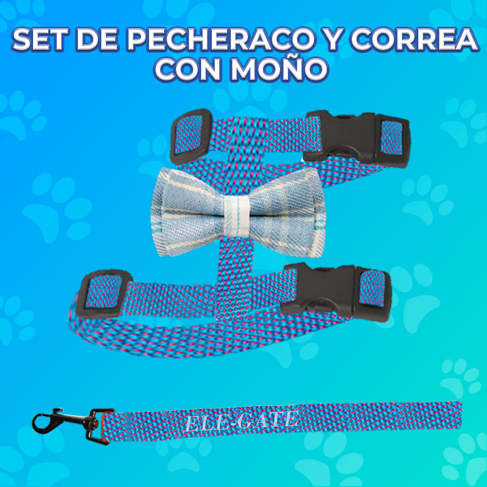 Conjunto de Arnés de Nailon con Diseño de Moño para Mascota