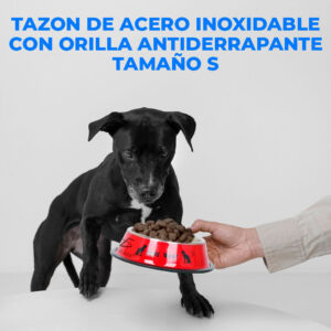 Cuenco de Acero Inoxidable para Mascotas con Base Antideslizante"