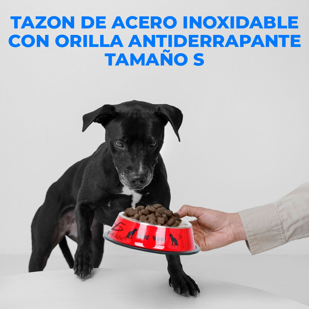 Cuenco de Acero Inoxidable para Mascotas con Base Antideslizante"
