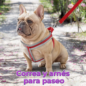 Pechera Acolchada Color Dúo con Correa Acolchada