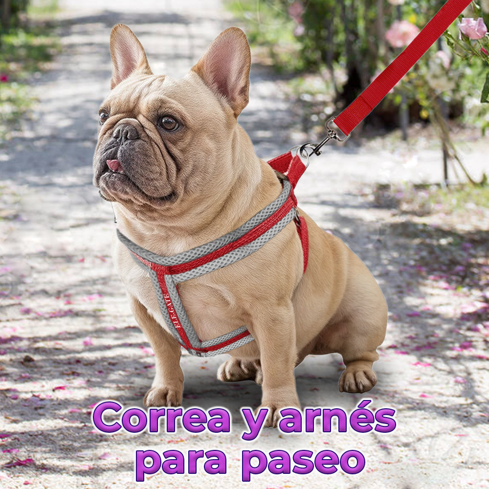 Pechera Acolchada Color Dúo con Correa Acolchada