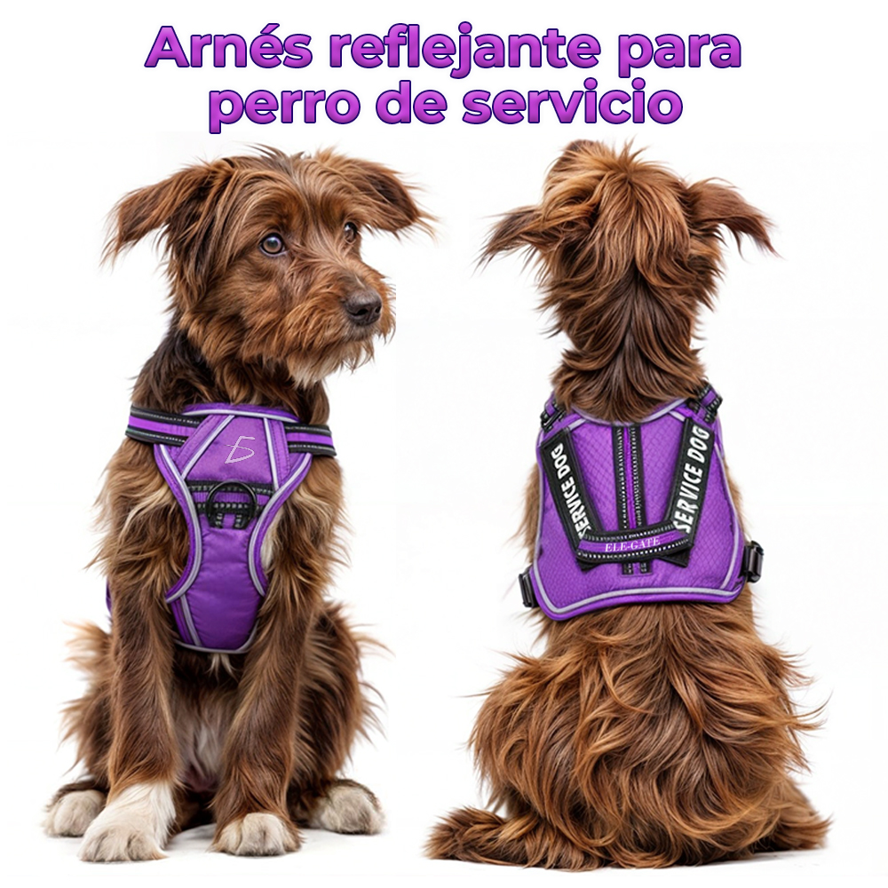 Arnés para Perro Cómodo y Ajustable con Asa y Chaleco Reflectante
