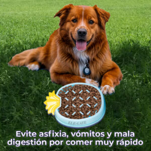 Plato Anti Asfixia en forma de Piña