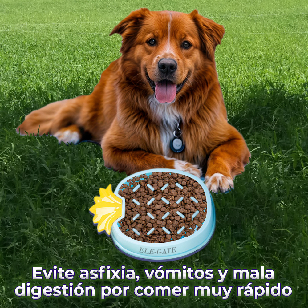 Plato Anti Asfixia en forma de Piña