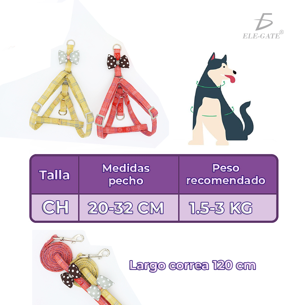 Correa y Arnés con Moñito - Image 7