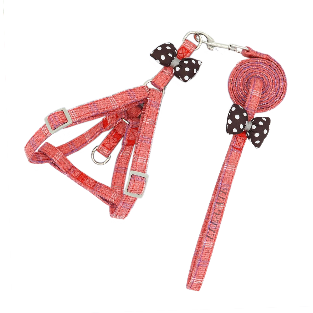 Correa y Arnés con Moñito - Image 5