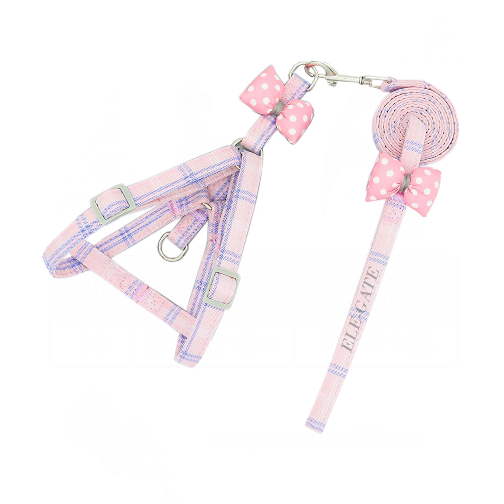 Correa y Arnés con Moñito - Image 6