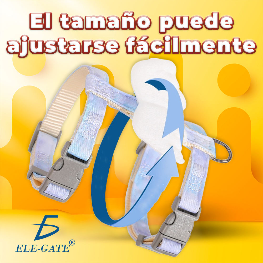 Arnés y Correa para Mascota Pequeña con Detalle de Alas - Image 5