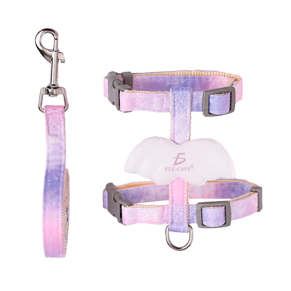 Arnés y Correa para Mascota Pequeña con Detalle de Alas - Image 2