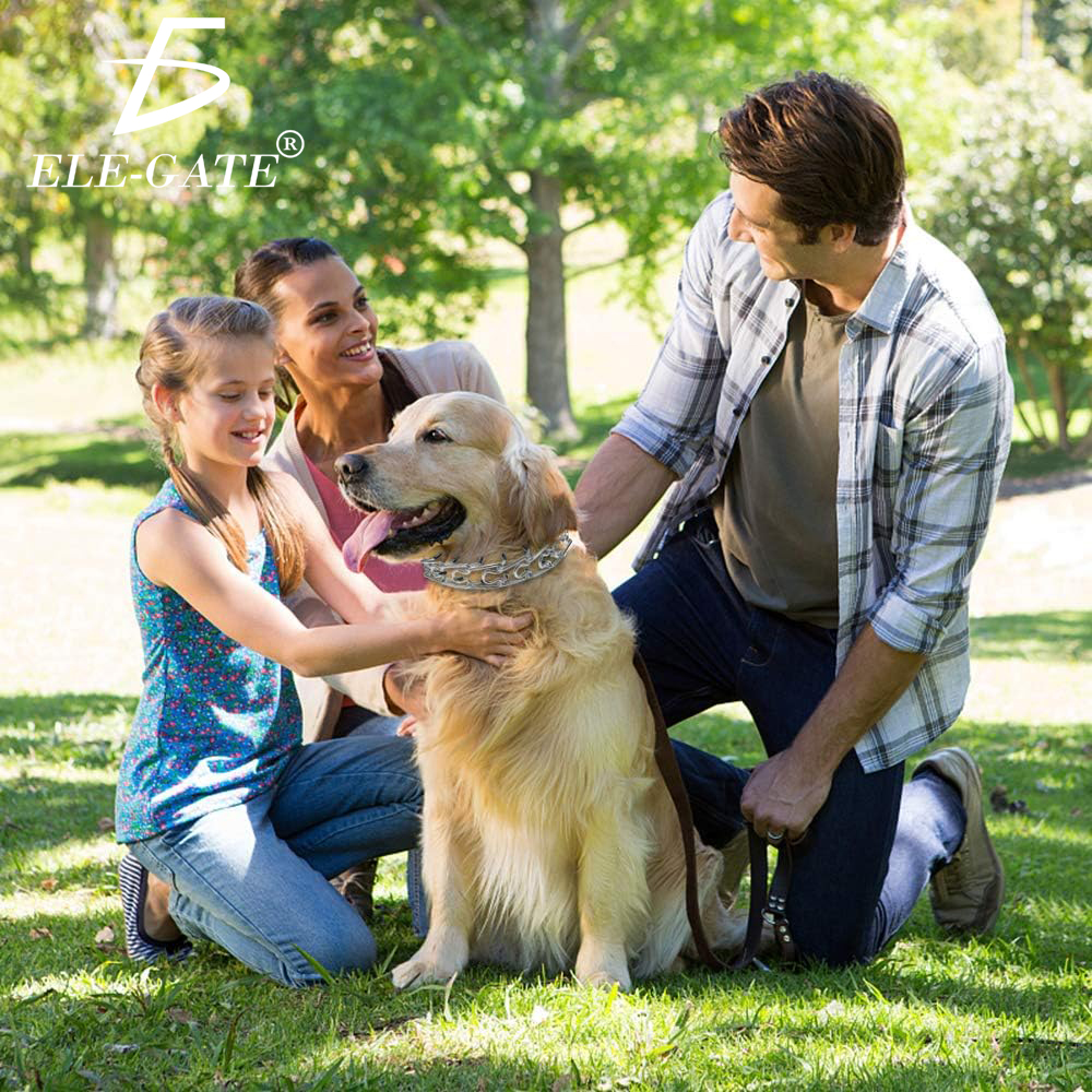 Collar de Adiestramiento Resistente y Ajustable para Perros