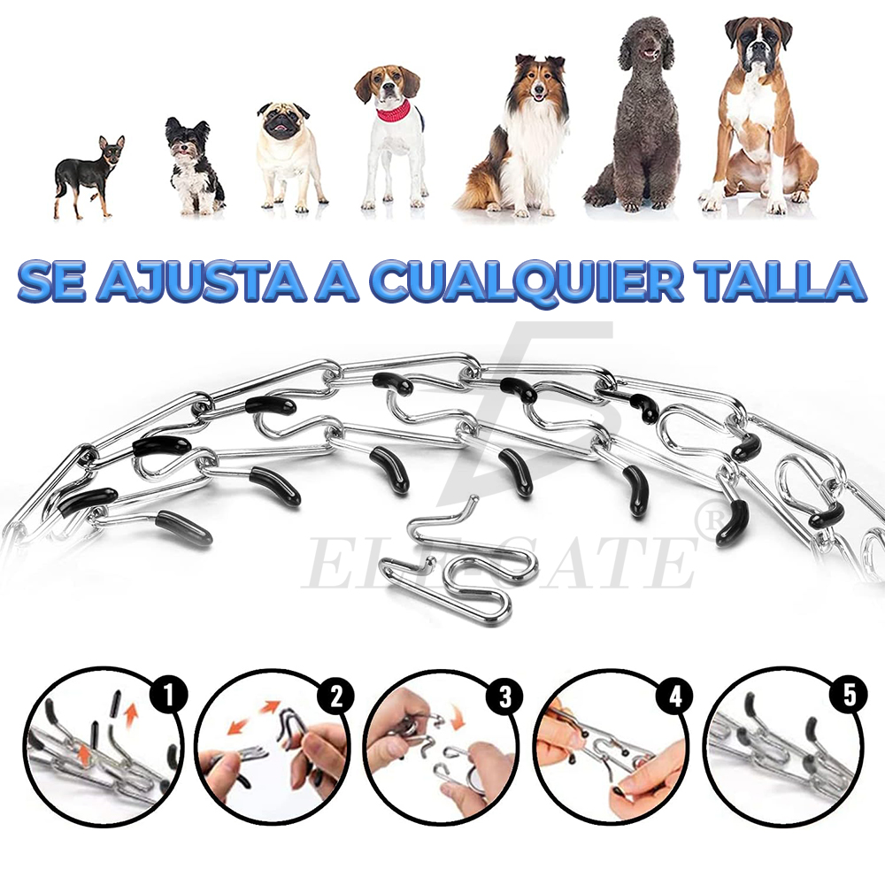 Collar de Adiestramiento Resistente y Ajustable para Perros - Image 5