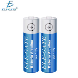 Paquete de 2 Pila Alcalinas sin Mercurio AA de 1.5V 2300 MaH